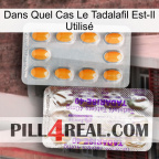 Dans Quel Cas Le Tadalafil Est-Il Utilisé new12